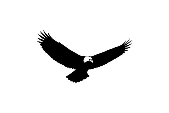 Bald Eagle Soaring in Flight Silhouette