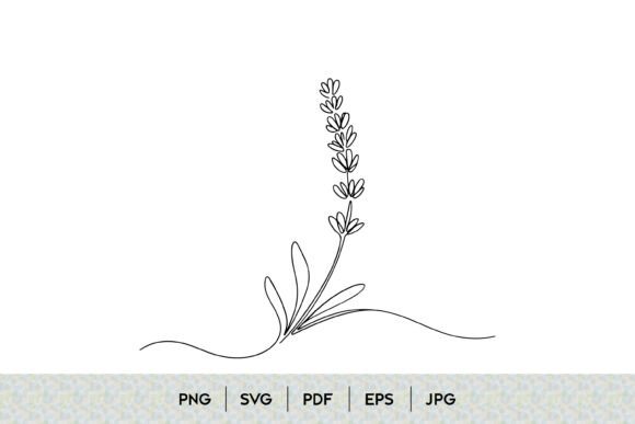 Lavender Flower Line Art Design Guide
