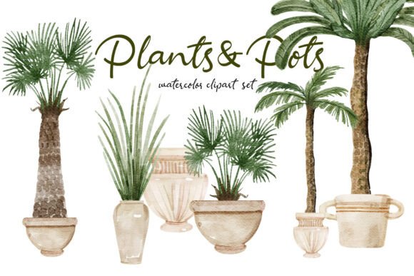 Plants Pots Watercolor Clipart PNG Set