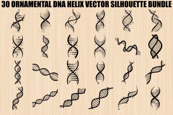 Unlocking Creative Potential: A Guide to the Ornamental DNA Helix Silhouette Bundle